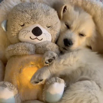 Peluche de Nutria Bebé Calmante 🦦 | El compañero perfecto para dormir 😴